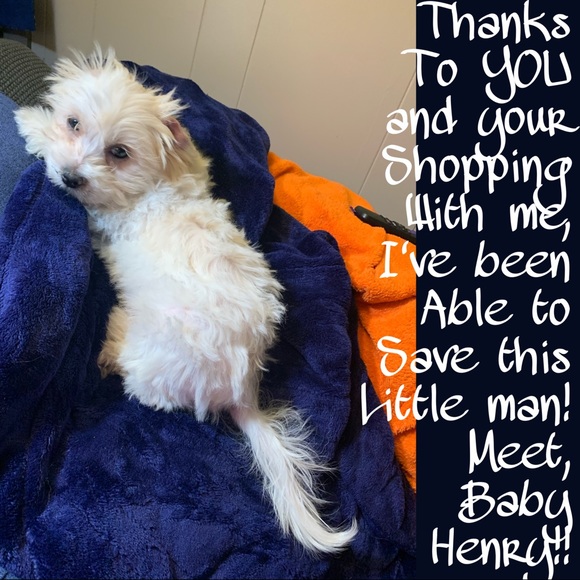 🙏❤️FINALLY a Healthy LITTLE boy! Thanks All!❤️🙏 - Picture 3 of 16